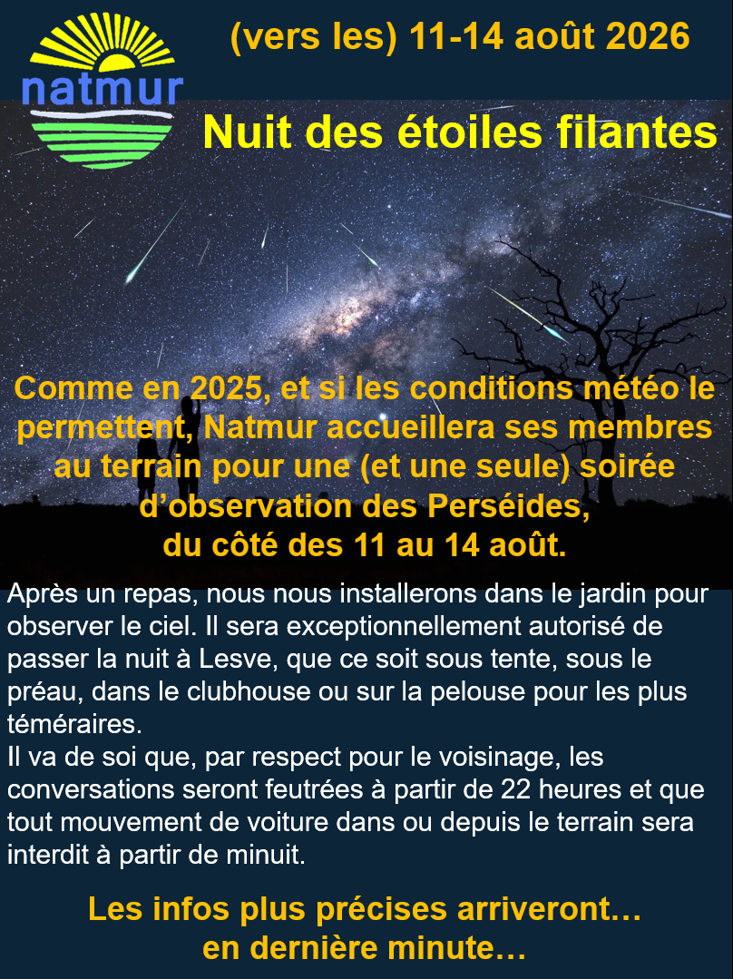 2026_08_nuit_des_étoiles_filantes.png